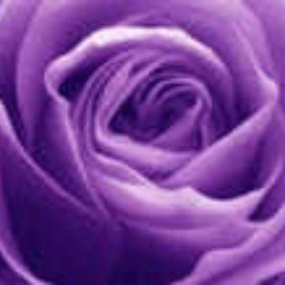 Meet your Posher, Dina